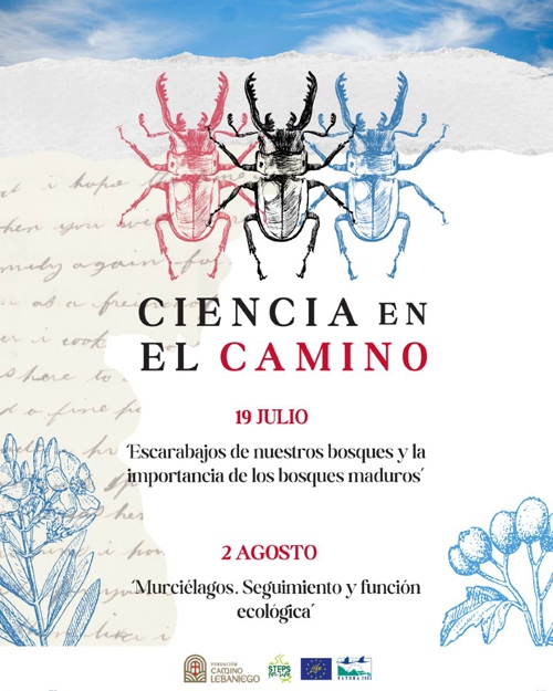 Murciélagos. Seguimiento y función ecológica. - Ciencia en el Camino - Cantabria - 2 agosto