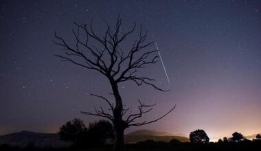 La lluvia de estrellas Delta Acuáridas iluminará los cielos de Bizkaia