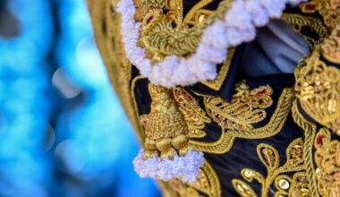 Jesús Romero, dos orejas en La Solana