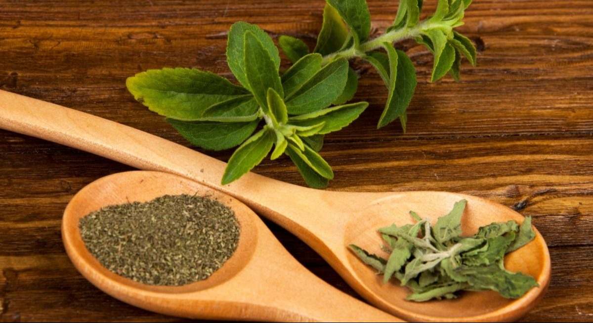 La planta medicinal capaz de eliminar las células cancerosas del páncreas