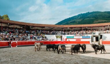 Azpeitia vive con gran ambiente la tradicional desencajonada de los toros de San Ignacio