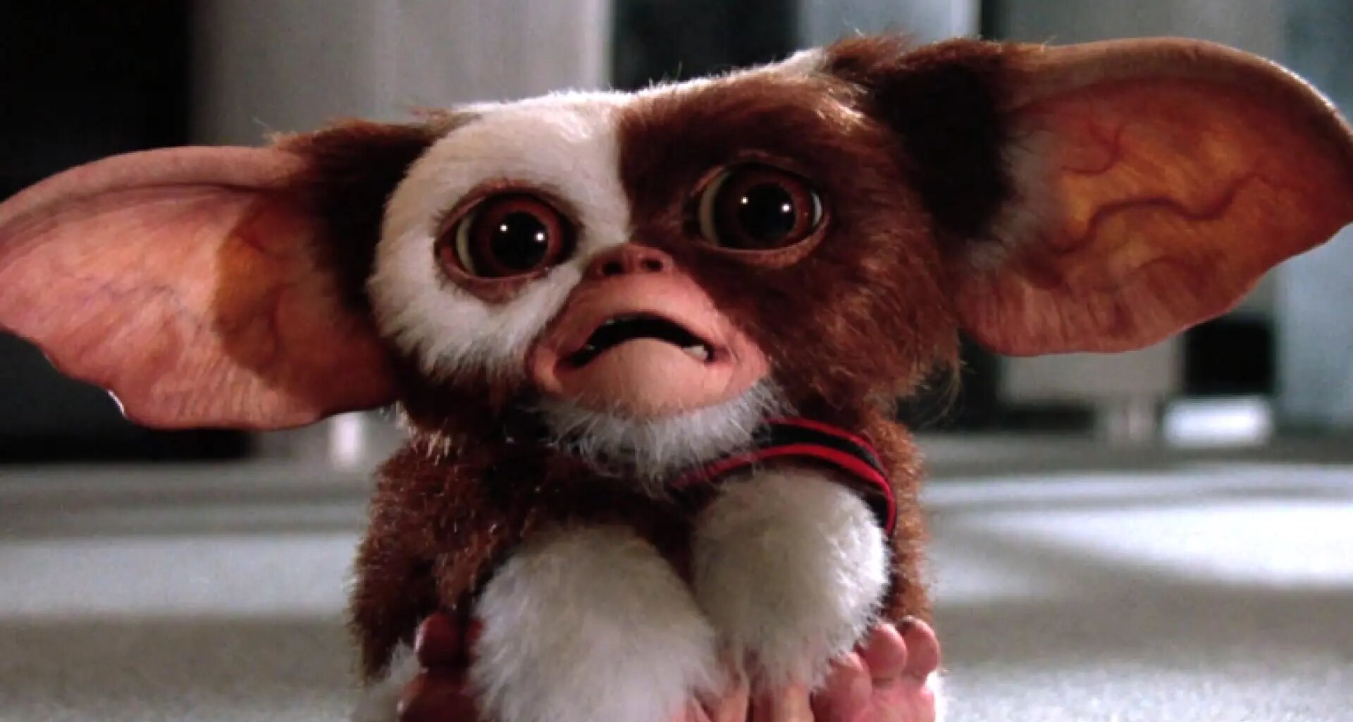 Warner quiere hacer 'Gremlins 3', pero todo depende de la aprobación de Spielberg