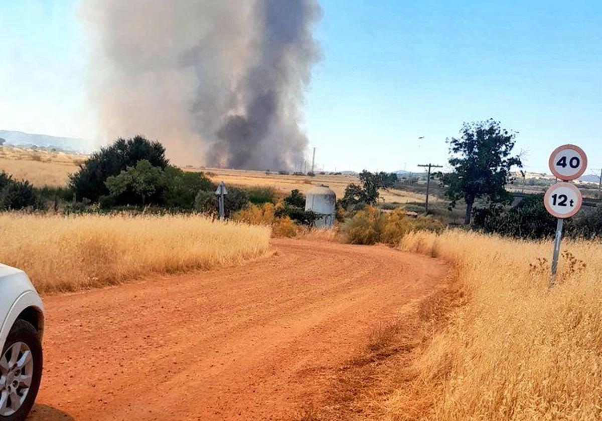 Suspendida la circulación de trenes de alta velocidad entre Madrid y Andalucía por un incendio en Ciudad Real