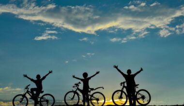 Doce días, 16 jóvenes: la ruta en bici para descubrir proyectos inspiradores del Burgos rural