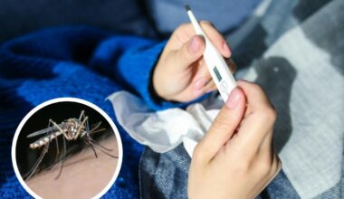 Síntomas del virus del Nilo: ¿cómo distinguirlos de una gripe o COVID?