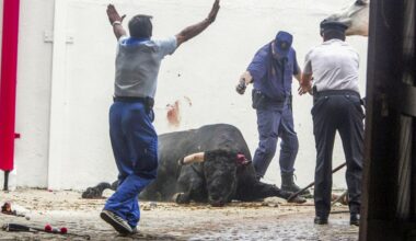 Corridas monstruo, indultos, un toro vivo y un misterioso hierro