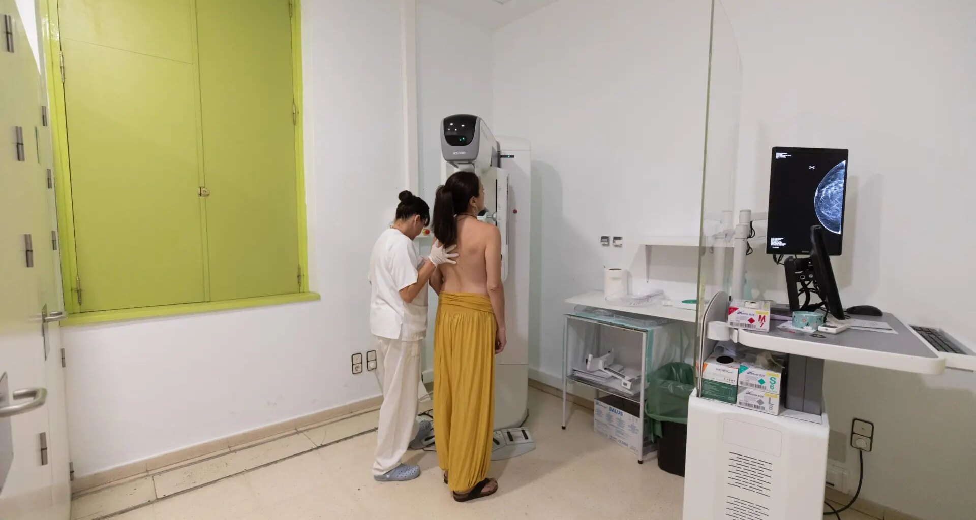 en 2024 se diagnosticaron 380 tumores