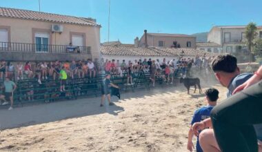Jornada frente al sol y las vaquillas en Arquillos
