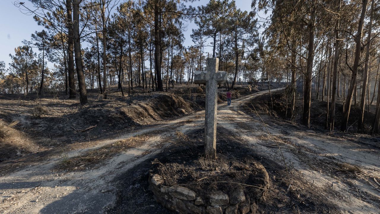 Dan por extinguido tres días después el incendio de Balarés, que arrasó 245 hectáreas de monte - La Voz de Galicia