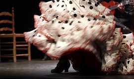 El Circuito Andaluz de Peñas aumenta un 20% su presupuesto coincidiendo con el XV aniversario del Flamenco como Patrimonio de la Humanidad - Noticias