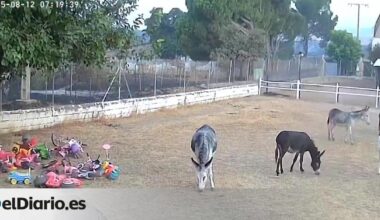 Burrolandia evita la tragedia ante el incendio de Tres Cantos gracias a las cámaras y a unos animales "muy listos"