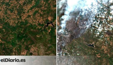 así han ardido miles de hectáreas este verano