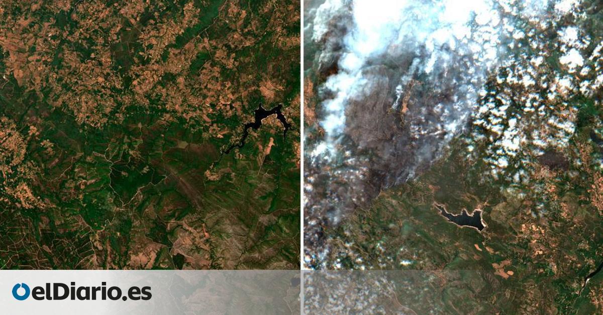 así han ardido miles de hectáreas este verano