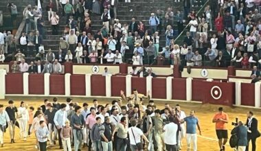 Denuncian el acceso gratuito de niños de 0-3 años a los toros
