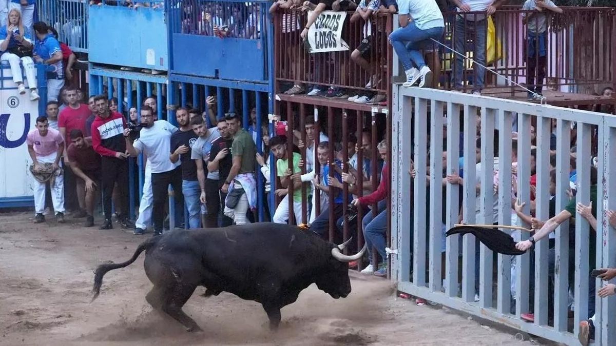 Levante-EMV