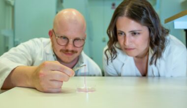 Un minitubo de hidrogel que puede dar lugar a vasos sanguíneos en pieles sintéticas.