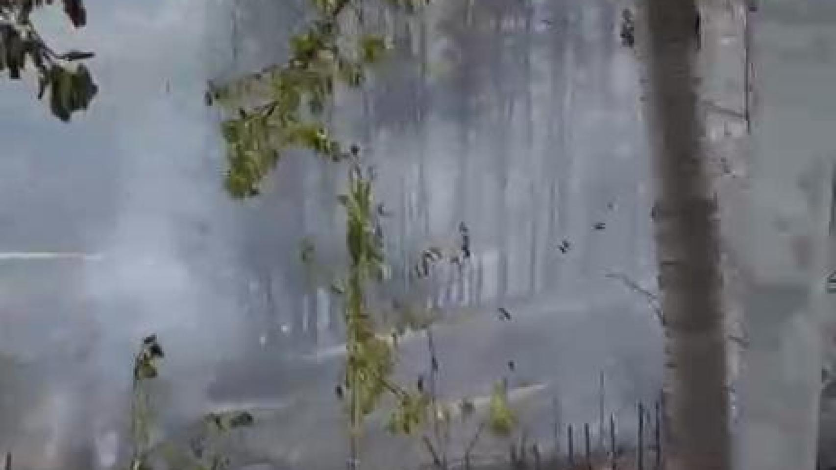 Detenido un joven de 20 años como presunto autor del incendio de Berlanga del Bierzo (León), en nivel 2