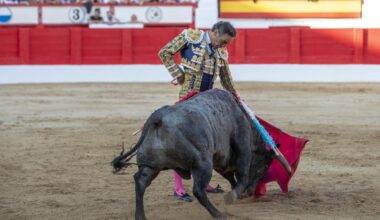 El Palacio del Mar premia a Morante, El Cid y al toro 'Vengativo' de Victorino Martín
