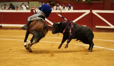 Corrida importante y que hace afición