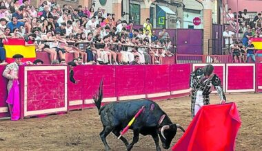 Dos novillos de Lumbreras, premiados con la vuelta al ruedo en el festival navarretano