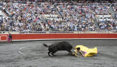 La asistencia a la feria taurina de Bilbao aumenta un 20% gracias a los jóvenes