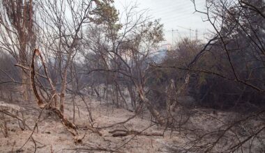 Protección Civil da la razón a la AEMET y pide que nos preparemos para lo que está por llegar porque no se salva casi ninguna zona de España: "En riesgo extremo"