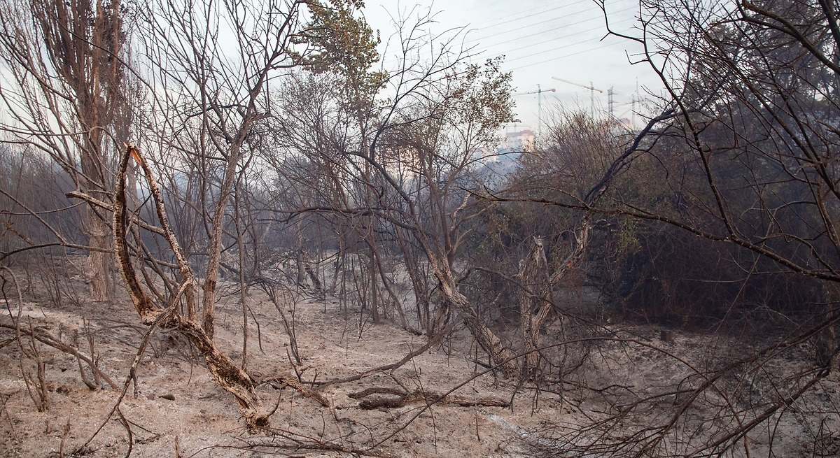 Protección Civil da la razón a la AEMET y pide que nos preparemos para lo que está por llegar porque no se salva casi ninguna zona de España: "En riesgo extremo"