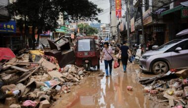 China en alerta por un brote de chikungunya: más de 7.000 casos y medidas para contener el virus