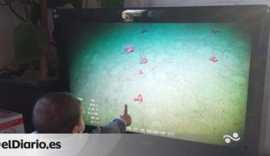 el fenómeno viral de la expedición a 3.900 metros de profundidad en el Atlántico Sur