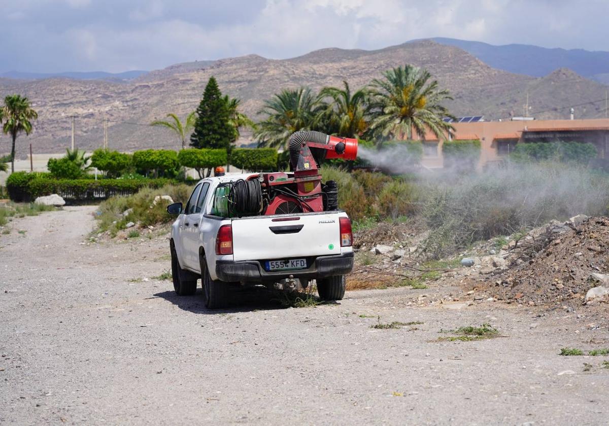 El virus del Nilo ya circula en mosquitos en Pulpí y otros puntos de Almería