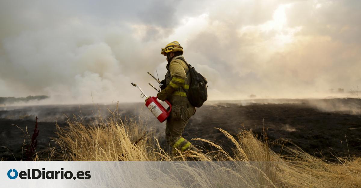 los incendios destapan la precariedad de los bomberos forestales