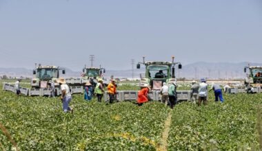 El plan de la UE para la futura PAC deja a cerca de 150.000 jubilados sin ayudas