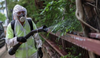 Un brote de chikungunya infecta a más de 7.000 personas en China y dispara las alarmas en el mundo