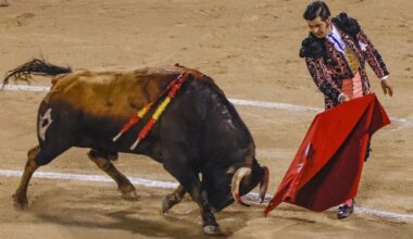 José Luis Miró: Mi estreno con Morante
