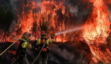 los incendios activos arrasan ya 12.500 hectáreas