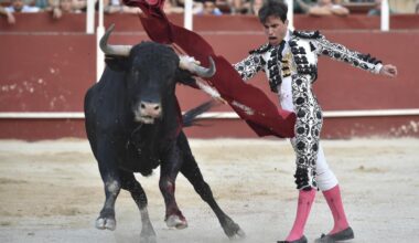 Puerta grande para Joselito de Córdoba y David Pardo en la Feria de Blanca