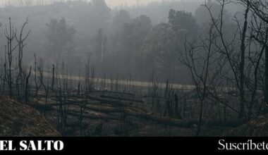Galicia | Renfe reanuda los trenes entre Madrid y Galicia tras siete días de suspensión por los incendios forestales - El Salto