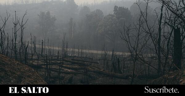 Galicia | Renfe reanuda los trenes entre Madrid y Galicia tras siete días de suspensión por los incendios forestales - El Salto