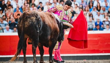 Una solemne faena sin premio de Morante: la ambición de Daniel Luque amplía su inalcanzable historial en Azpeitia - El Mundo