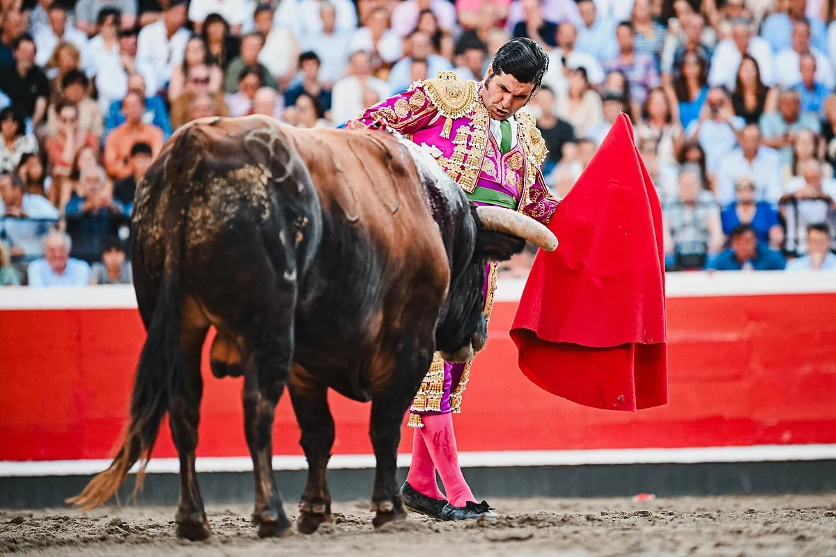 Una solemne faena sin premio de Morante: la ambición de Daniel Luque amplía su inalcanzable historial en Azpeitia - El Mundo