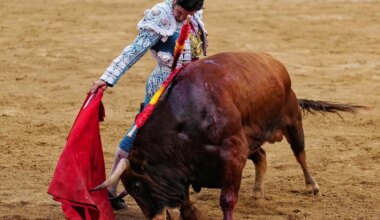 Toros en Huelva por la Feria de las Colombinas 2025: quién torea hoy sábado 2 de agosto - El Mundo