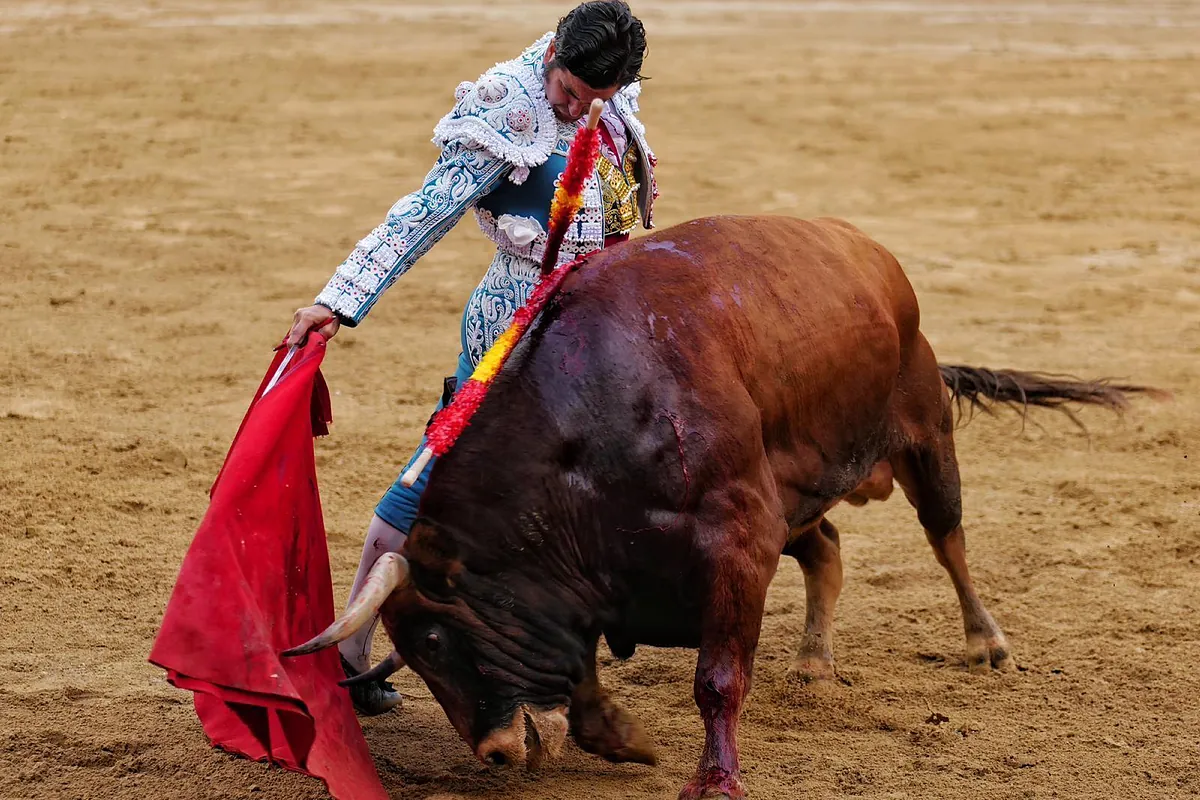Toros en Huelva por la Feria de las Colombinas 2025: quién torea hoy sábado 2 de agosto - El Mundo