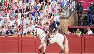 Toros en Huelva por la Feria de las Colombinas 2025: quién torea hoy domingo 3 de agosto - El Mundo