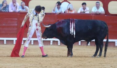 RTVE Clarín Brillan Roca Rey, Luque y Manzanares en el sur