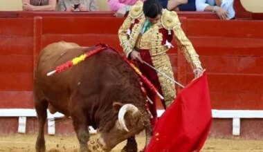 Morante de la Puebla sigue intratable con su antológica temporada: torerísima y rotunda tarde en El Puerto de Santa María - El Mundo