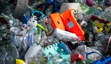Casi 200 países abordan en Ginebra el problema de la contaminación por plásticos