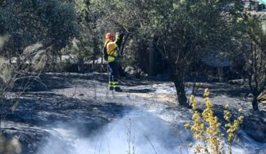 Sigue vivo el incendio del sur de España que obligó a evacuar a miles de turistas y bañistas