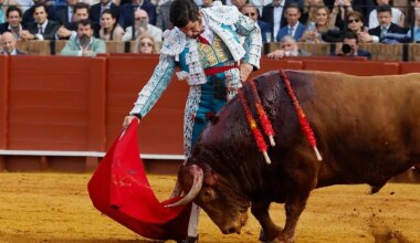 Toros en Marbella hoy, 8 de agosto: hora, quién torea y dónde ver gratis por TV - El Mundo
