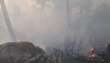 Al menos seis trenes afectados por la interrupción del tráfico por un incendio en San Bartolomé de Pinares (Ávila) - El Mundo