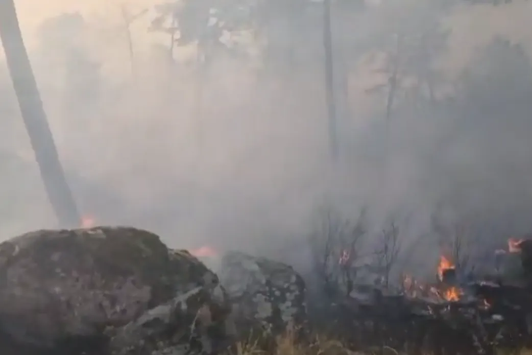 Al menos seis trenes afectados por la interrupción del tráfico por un incendio en San Bartolomé de Pinares (Ávila) - El Mundo